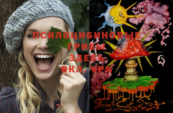 мдма Горнозаводск