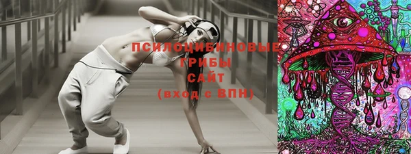 спайс Вяземский