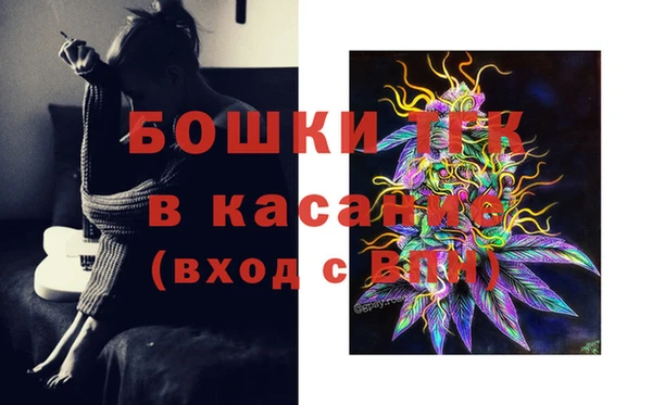 дмт Горно-Алтайск